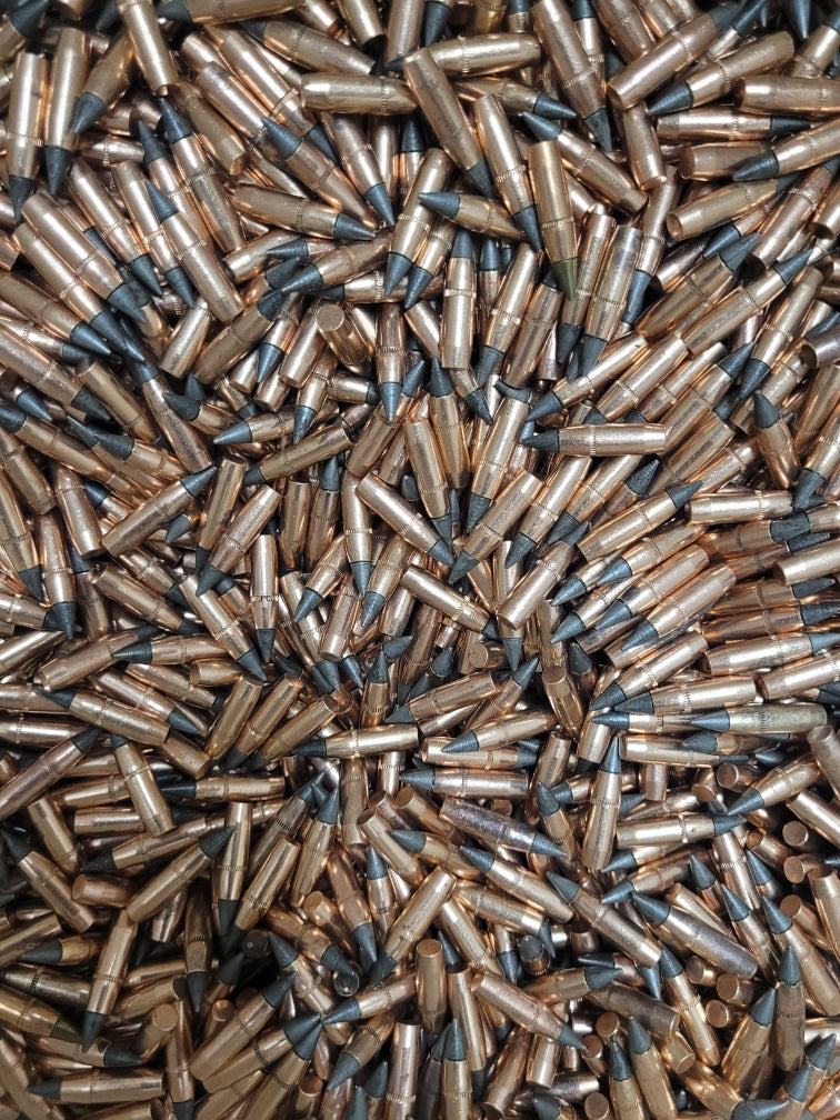 M855A1 projectiles, 500 each